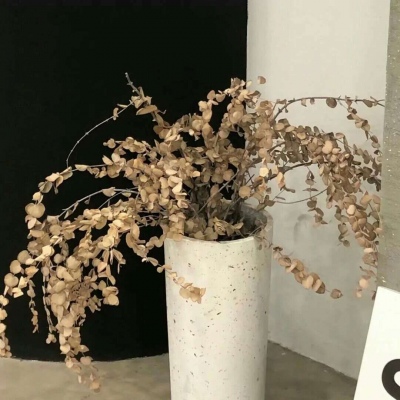 Furry色彩搭配技巧兽圈社群